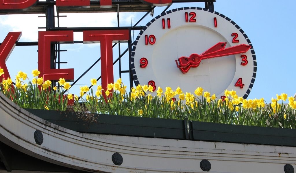 daffodils pike place market